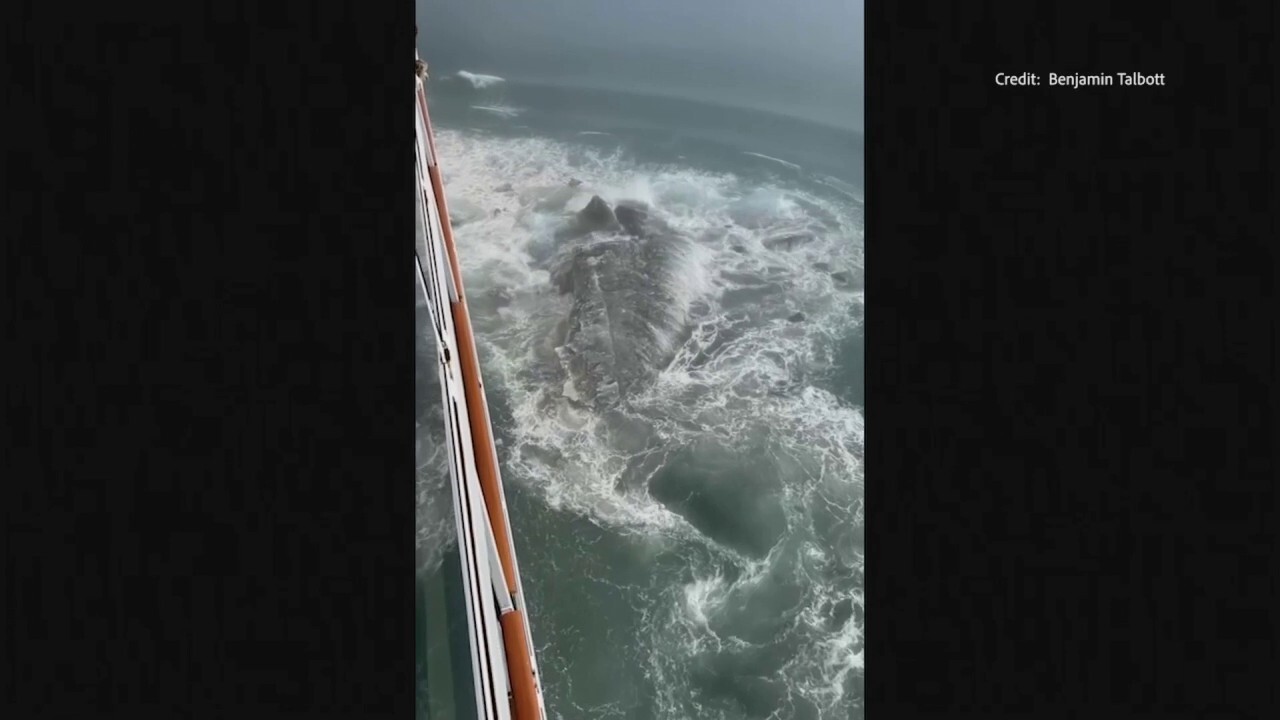 Video Shows Norwegian Cruise Ship Hit Iceberg: 'Titanic 2.0'
